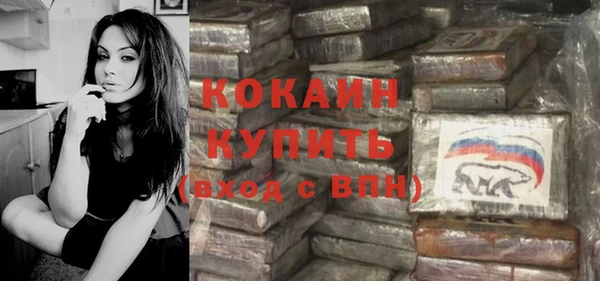 сатива Тавда