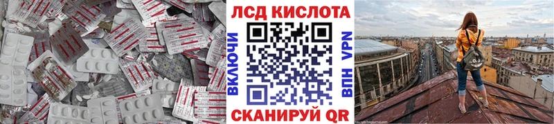 LSD-25 экстази ecstasy  hydra tor  Каргополь  как найти наркотики 